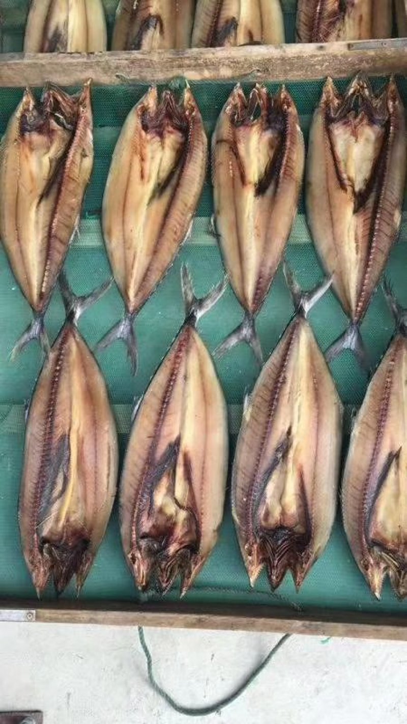 鲅鱼干
