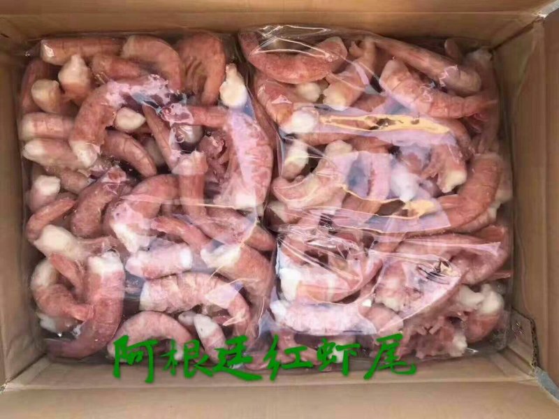 阿根廷红虾尾，带证，，，，