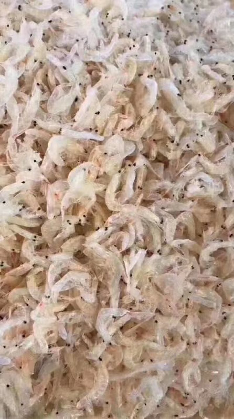 虾皮