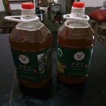 纯野生山茶油