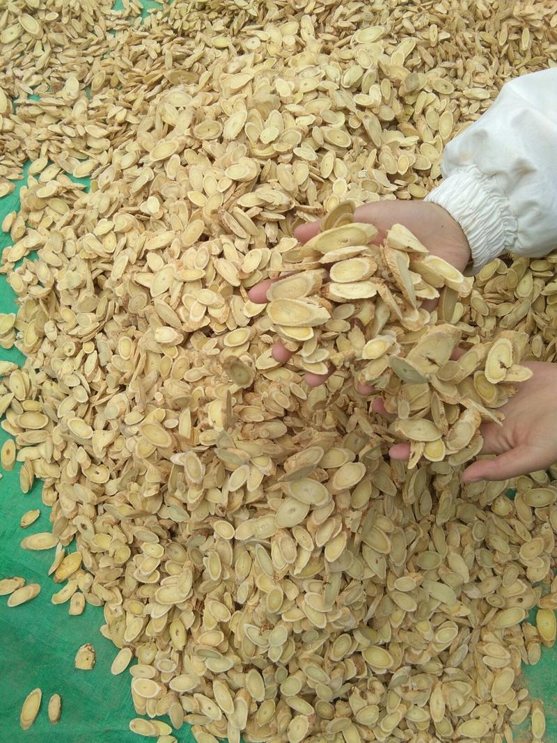 产地甘肃岷县精品黄芪大片无硫自然晾晒1.5以上