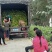 儿菜求销