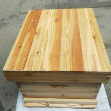 蜂箱平箱高箱，活框蜂箱养蜂工具。多个尺寸定做。