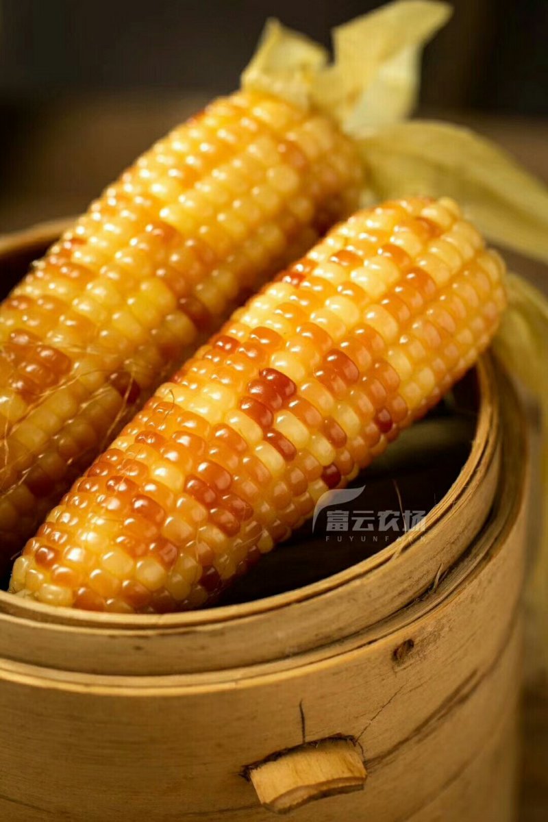 云南西双版纳香糯小玉米，4斤装，