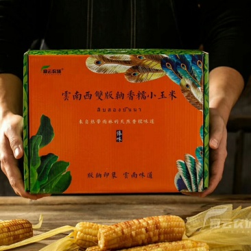 云南西双版纳香糯小玉米，4斤装，