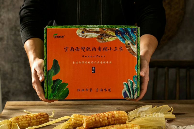 云南西双版纳香糯小玉米，4斤装，