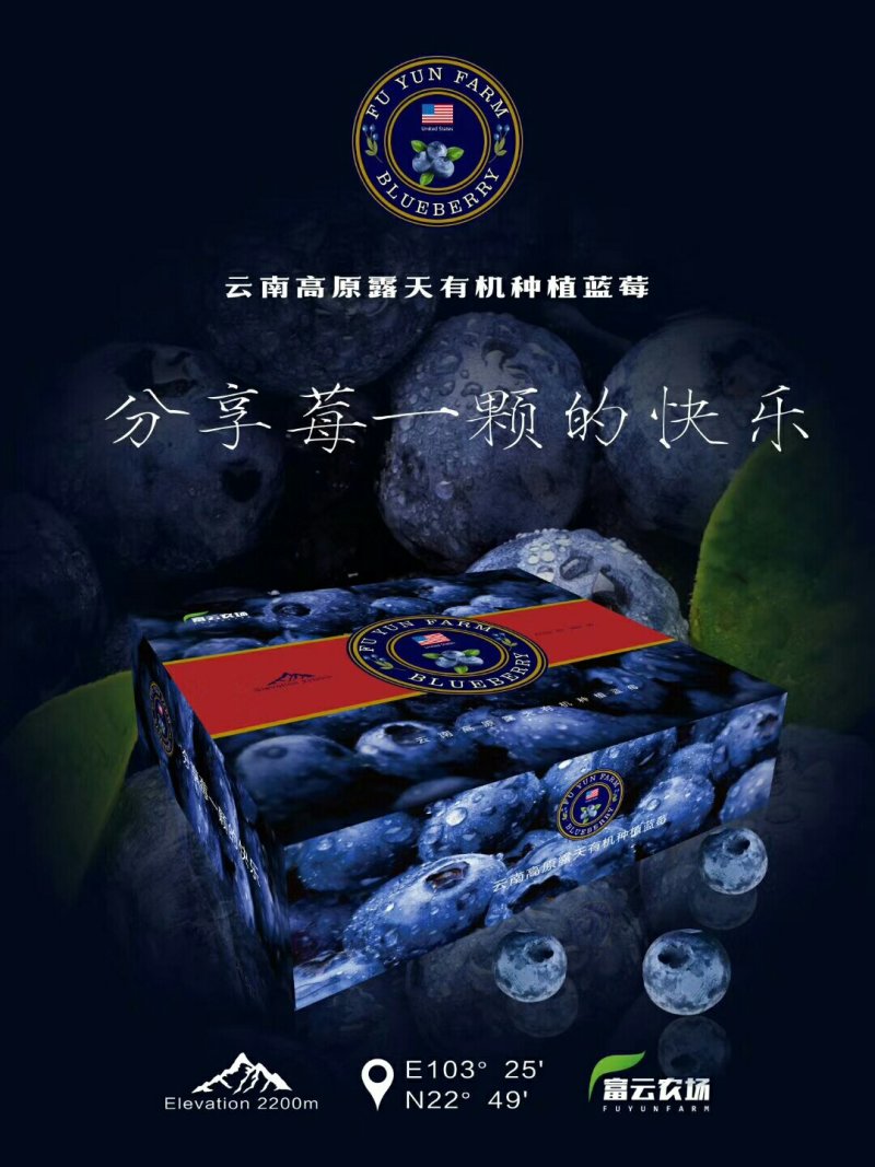 云南露天种植美国JE蓝莓，4*125g