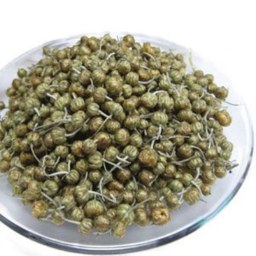 怀珍珠菊河南省焦作市温县珍珠菊茶