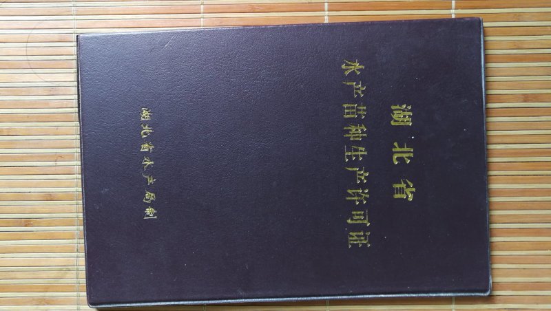 扁鱼苗，武昌鱼苗，水花，夏花，乌子，寸片