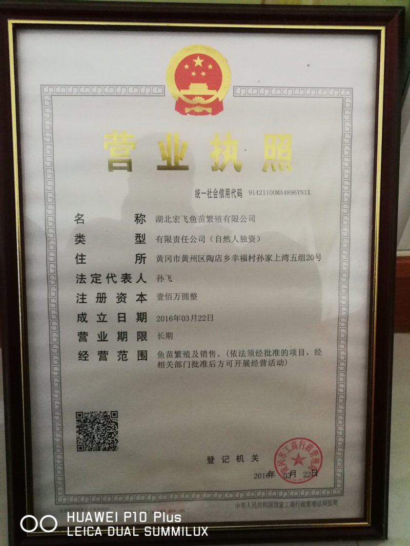 鳡鱼苗，自产自销，保质保量，各种规格都有出售。