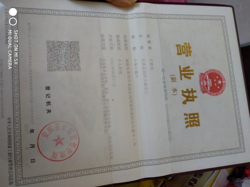 2022年明前龙井黄版新茶，色泽黄绿，滋味甘甜