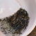 青鱼水花，夏花，乌子，寸片。价格公道，保质保量，自产自销
