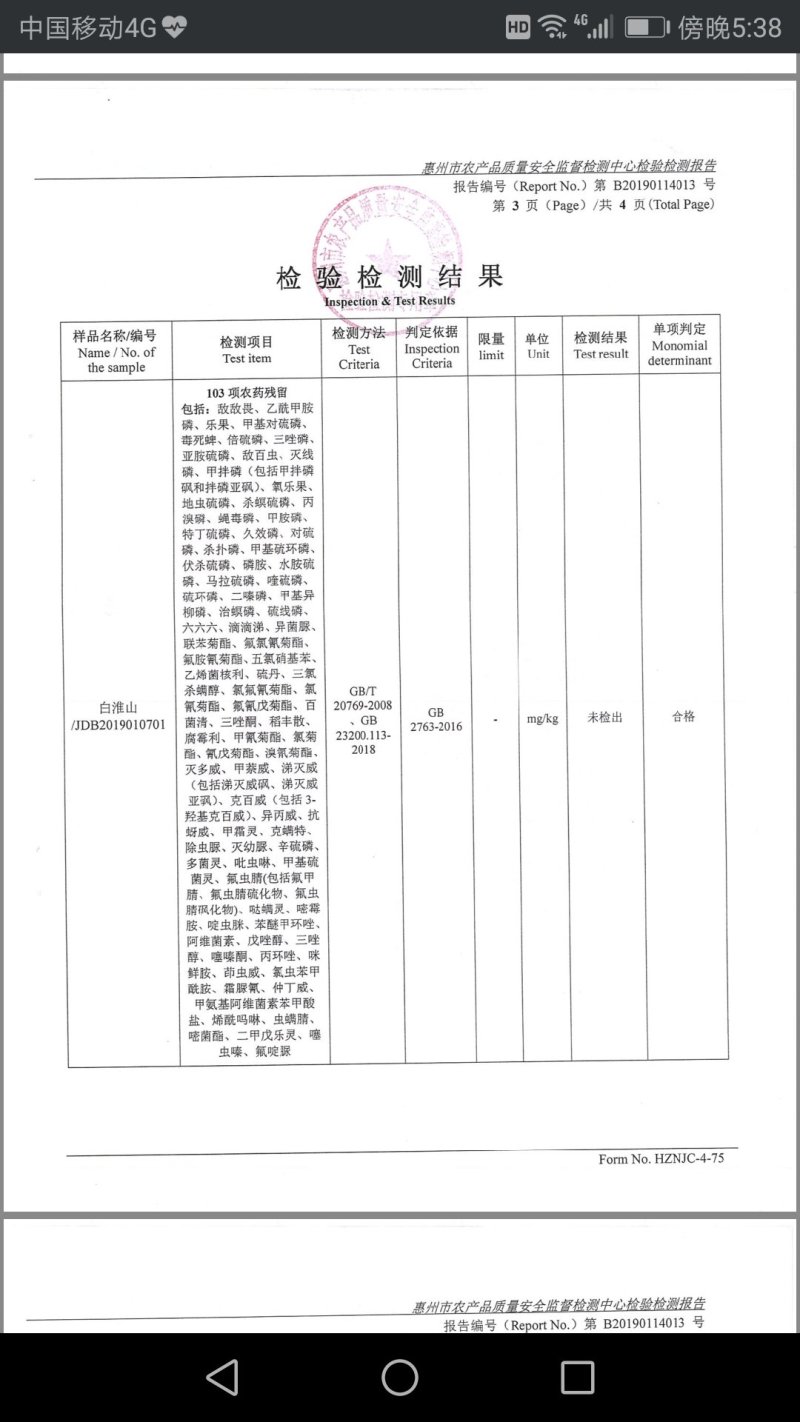 紫玉淮山4/6cm～90cm