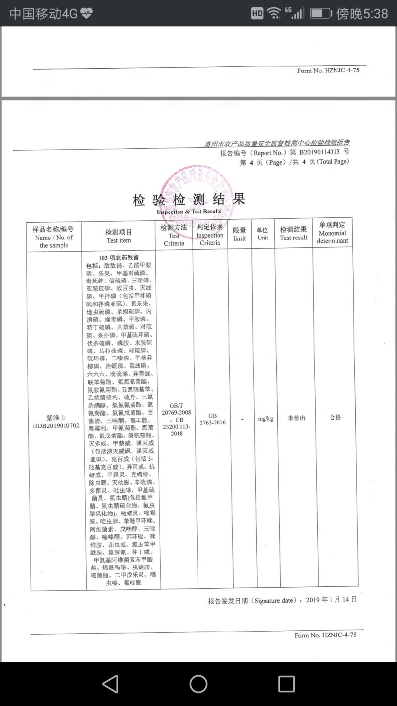 紫玉淮山4/6cm～90cm