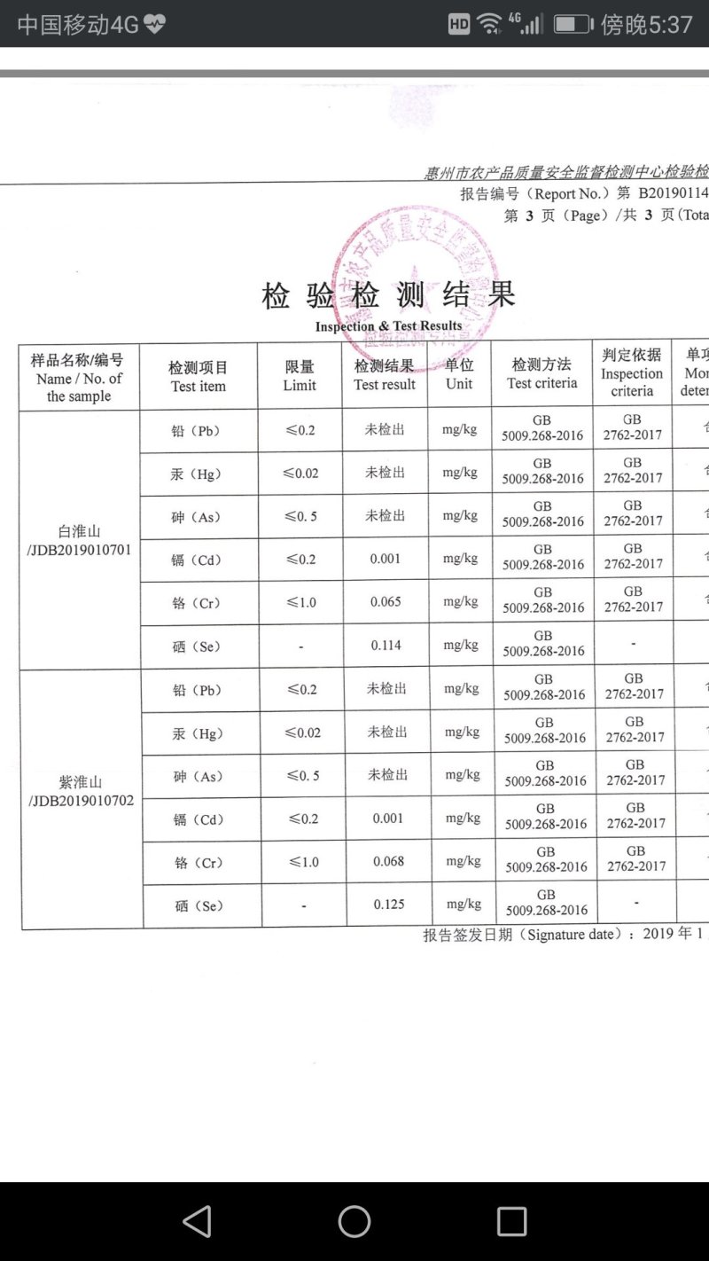 紫玉淮山4/6cm～90cm