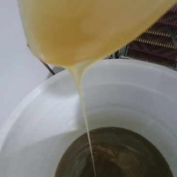 野生崖蜂蜜