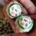 陈皮小青柑普茶