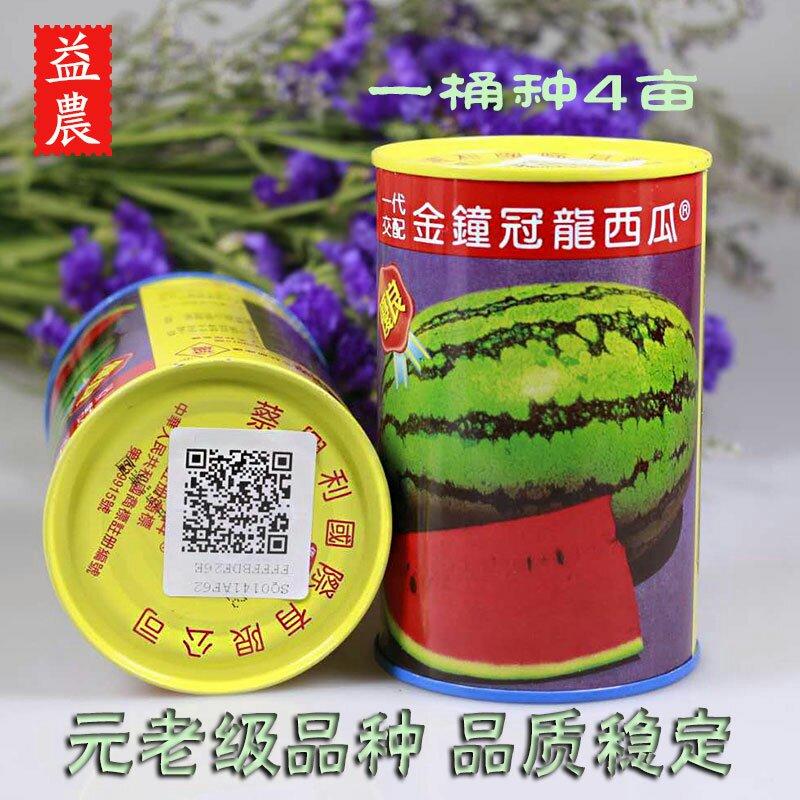 香港益农金钟冠龙西瓜种子原装正品200克可种4亩
