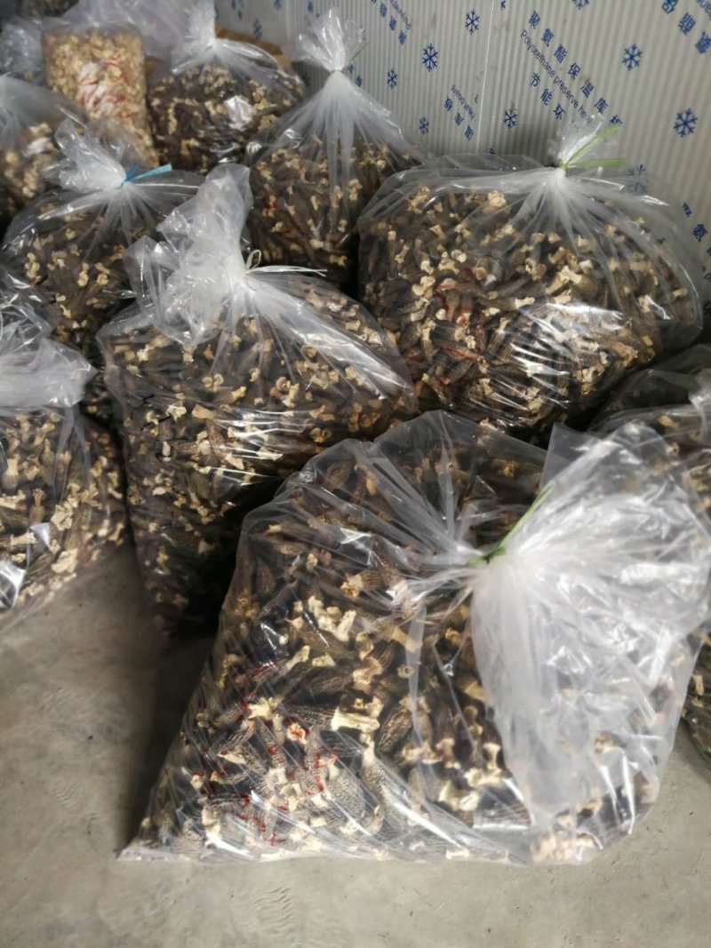 优质羊肚菌干货大量供应保证质量