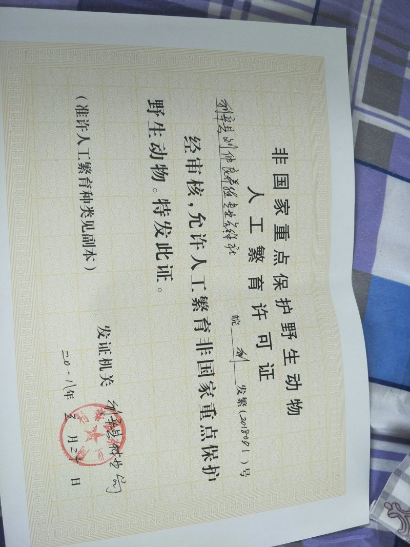 出售青蛙，蝌蚪，卵块