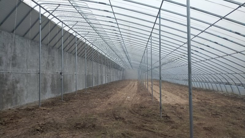 日光温室大棚建造免费设计设计，抗压抗风温度好