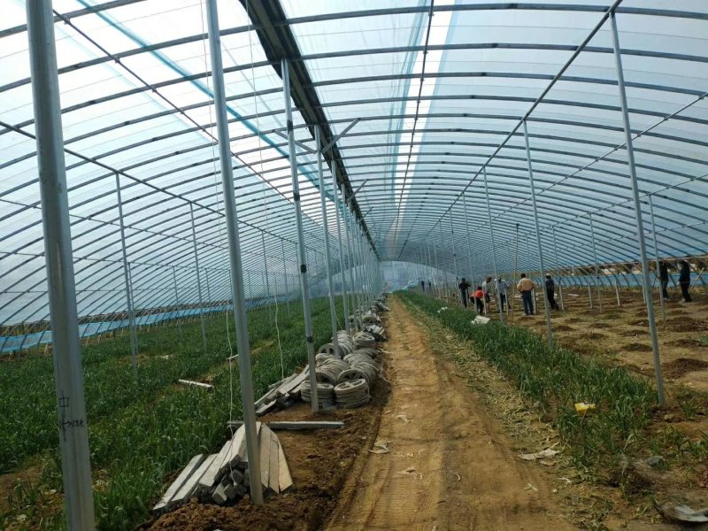 日光温室大棚建造免费设计设计，抗压抗风温度好