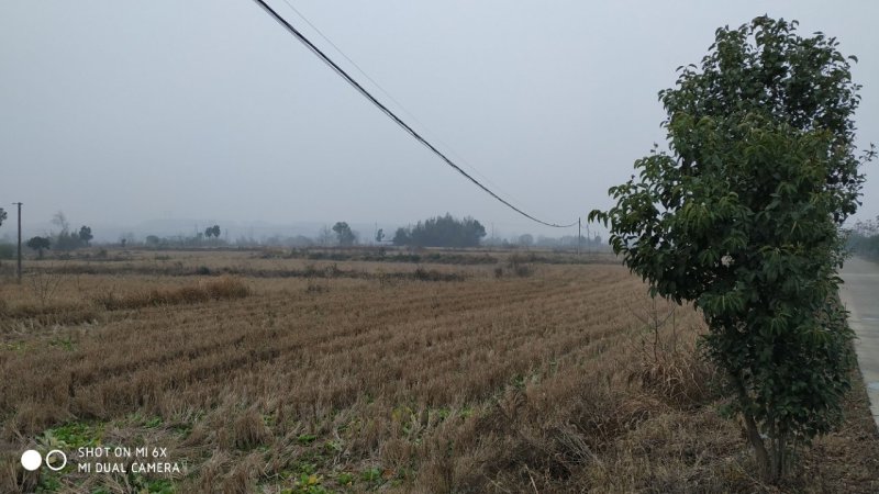 短租(两年)荆门市20000亩项目过渡综合地源