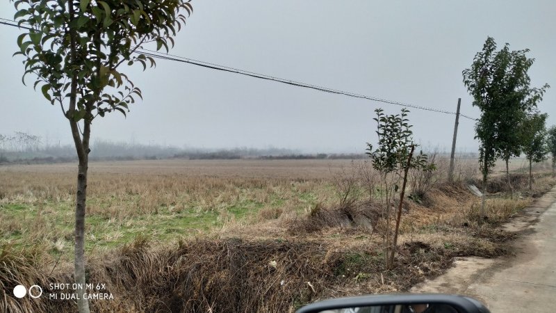 短租(两年)荆门市20000亩项目过渡综合地源