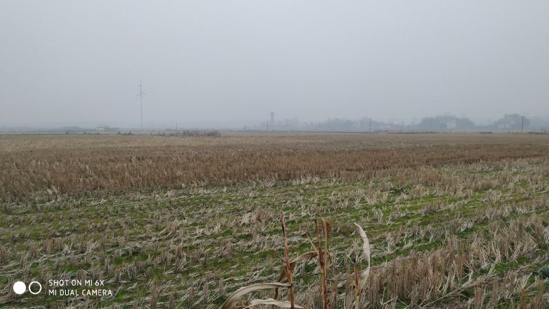 短租(两年)荆门市20000亩项目过渡综合地源