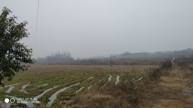 短租(两年)荆门市20000亩项目过渡综合地源
