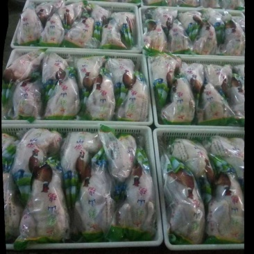养殖户出售野鸡蛋，一手货源，保证质量，负责破损没有中间商