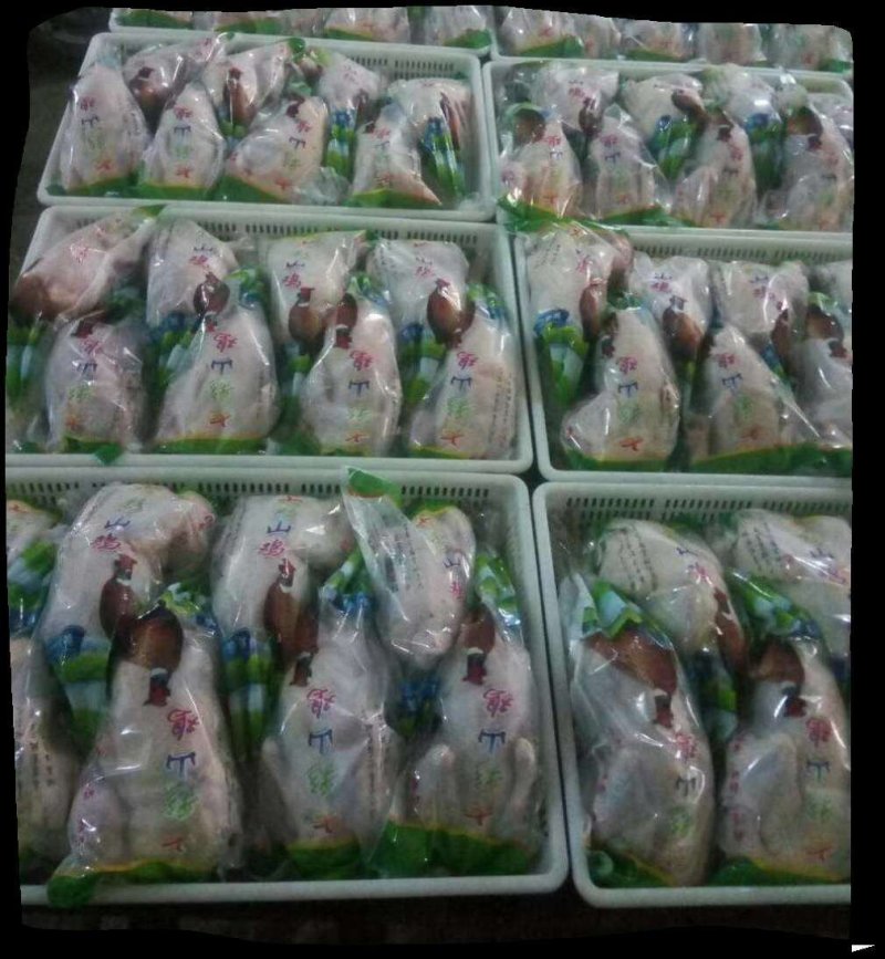 养殖户出售野鸡蛋，一手货源，保证质量，负责破损没有中间商