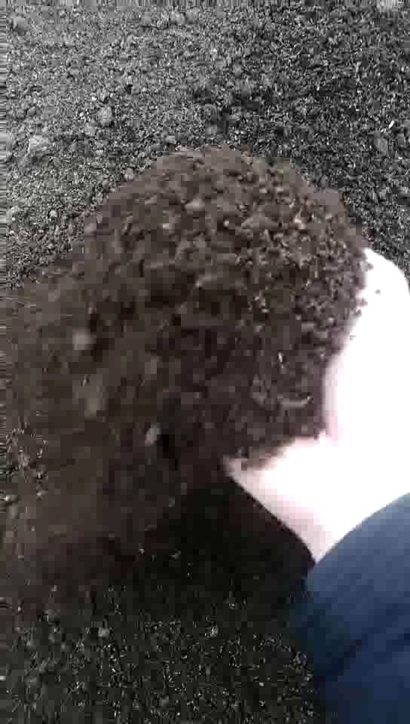 干猪粪畜禽粪猪粪，猪粪干自然风干发酵猪粪常年大量供应
