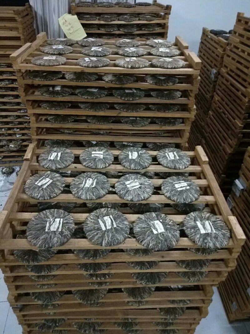 云南普洱古树茶。
