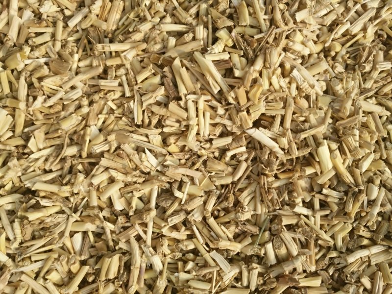 白茅根米，新货，货干，质量好，一手货源。