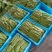 大量精品扁豆上市，价格便宜，一条龙服务