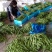 大量精品扁豆上市，价格便宜，一条龙服务