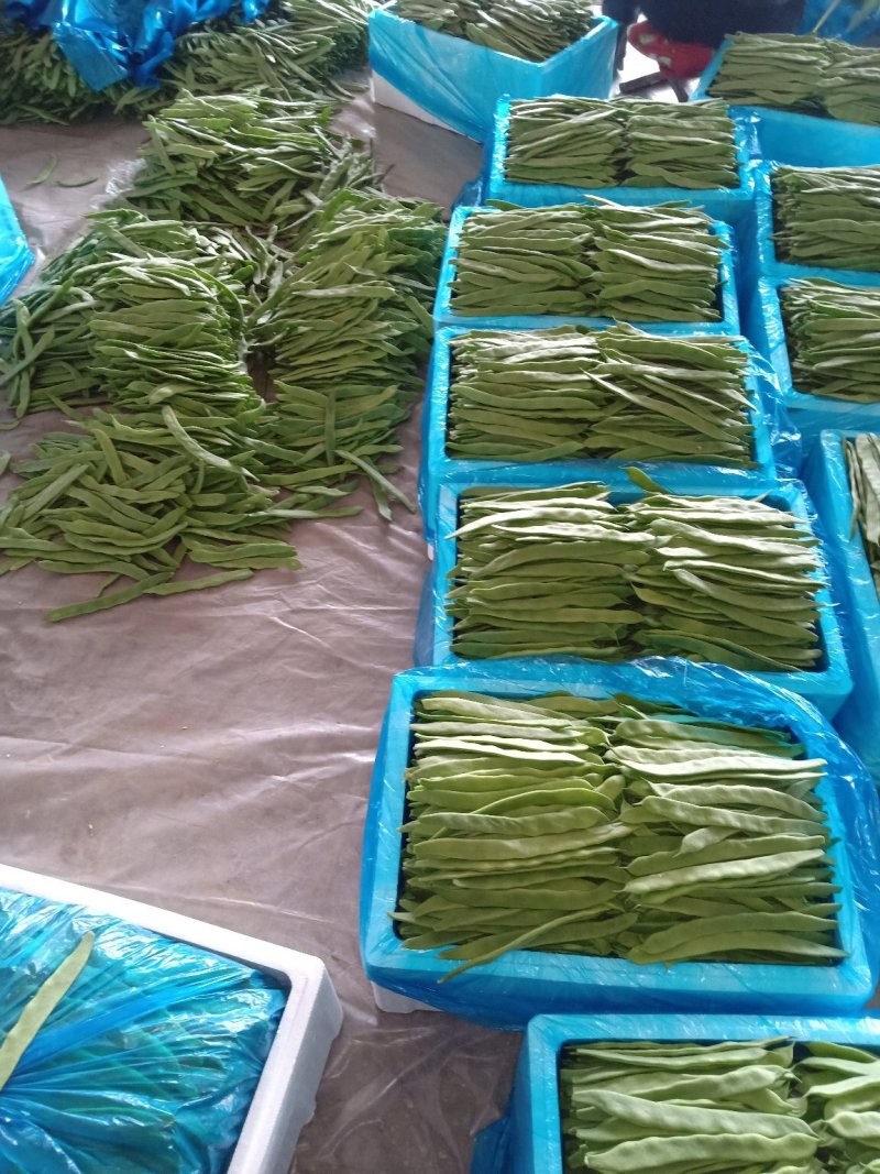 大量精品扁豆上市，价格便宜，一条龙服务