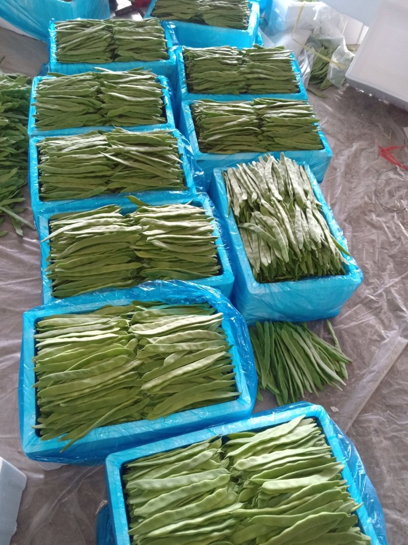 大量精品扁豆上市，价格便宜，一条龙服务