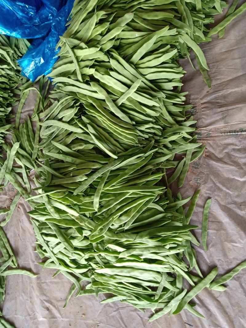 大量精品扁豆上市，价格便宜，一条龙服务