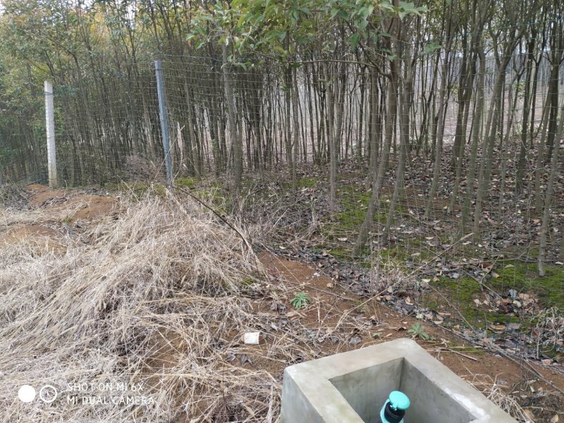 转让掇刀团林200亩苗木基地