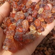 桃胶，桃树泪