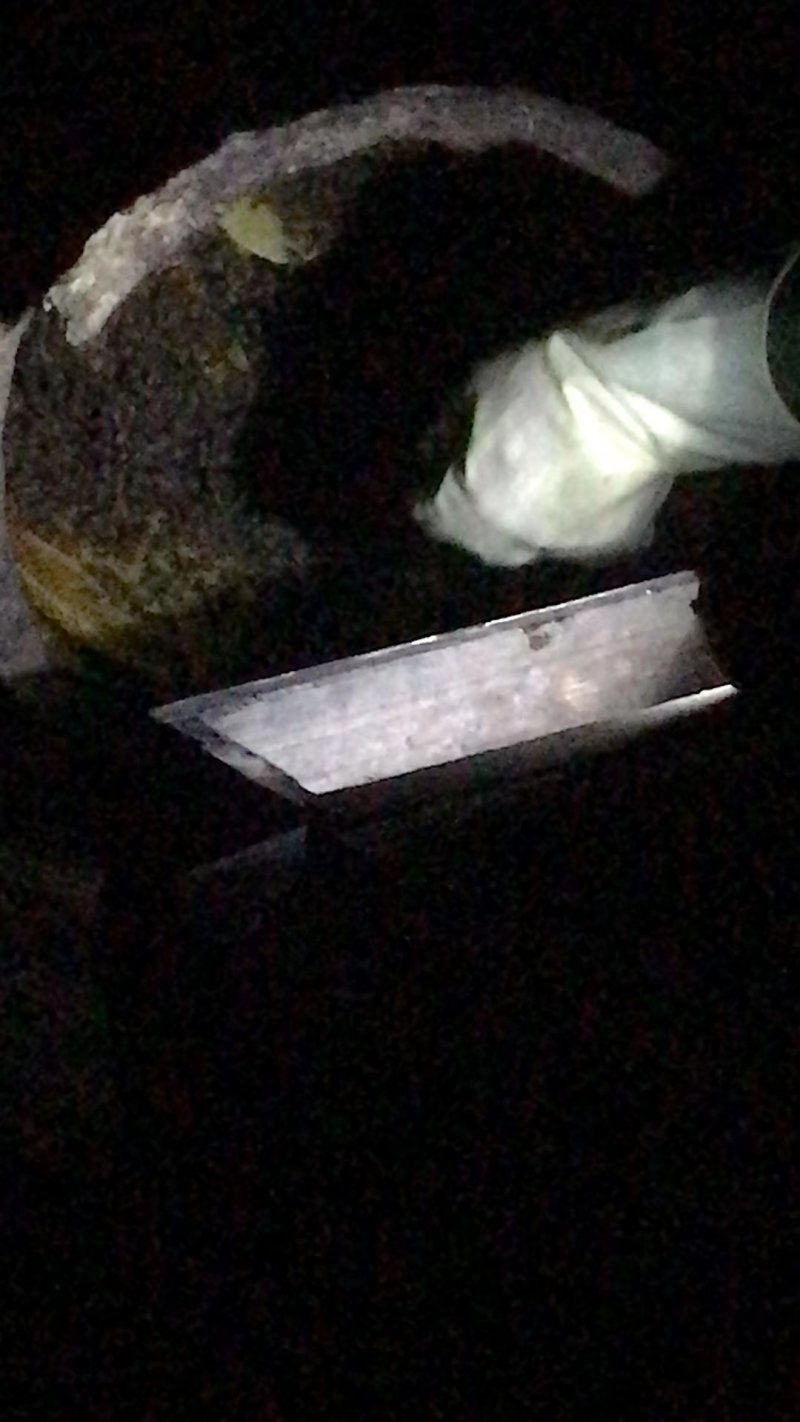 土蜂蜜纯天然农家自产野生正宗百花蜜2斤装