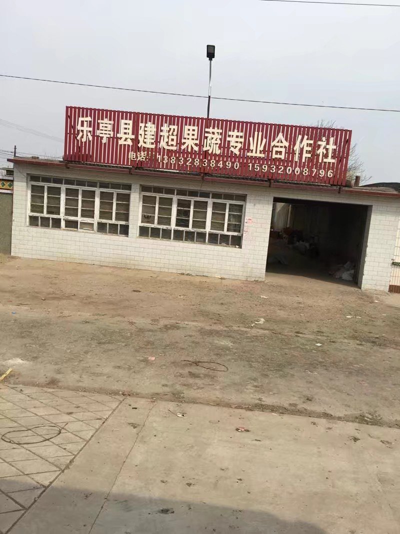 2019年毛桃上市