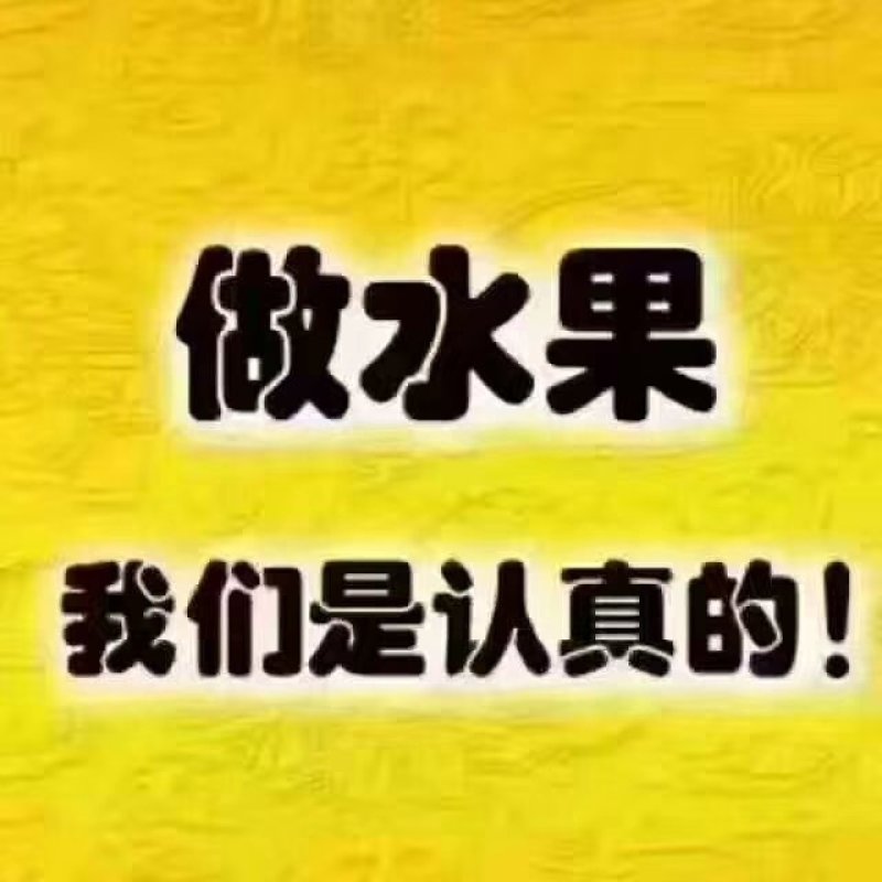2019年乐亭甜瓜