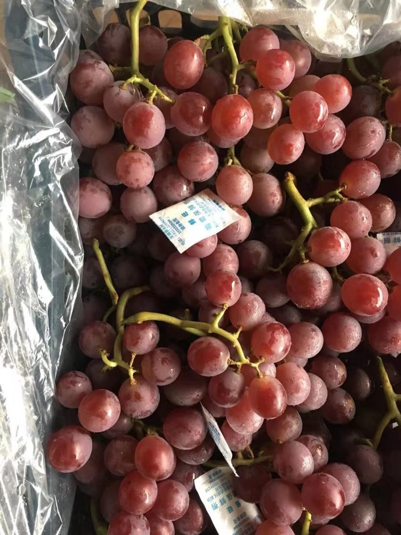 巨峰葡萄，甜葡萄，产地直供，四季有货