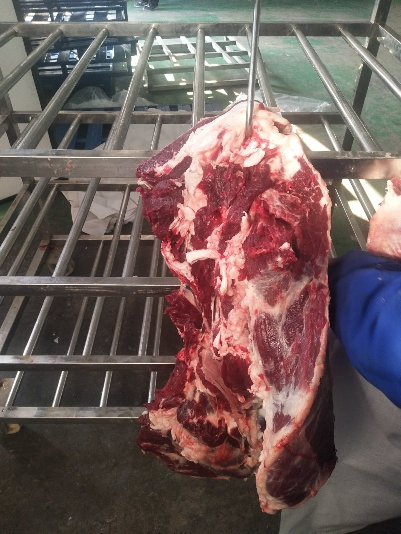 鲜牛后腿肉，纯干鲜牛肉，纯干牛碎肉，牛排