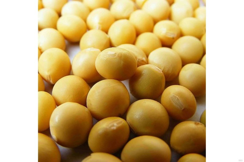 黄豆