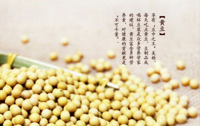 黄豆