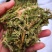 伸筋草云南干货2斤包邮量大从优常年经营中药材